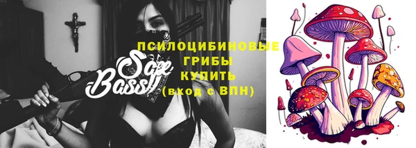 соль курить ск Богданович