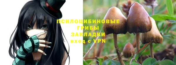 таблы Богородицк
