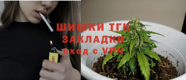 таблы Богородицк
