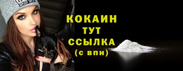 соль курить ск Богданович