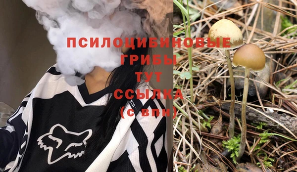 соль курить ск Богданович