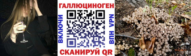 Галлюциногенные грибы MAGIC MUSHROOMS  Купить  Пикалёво 